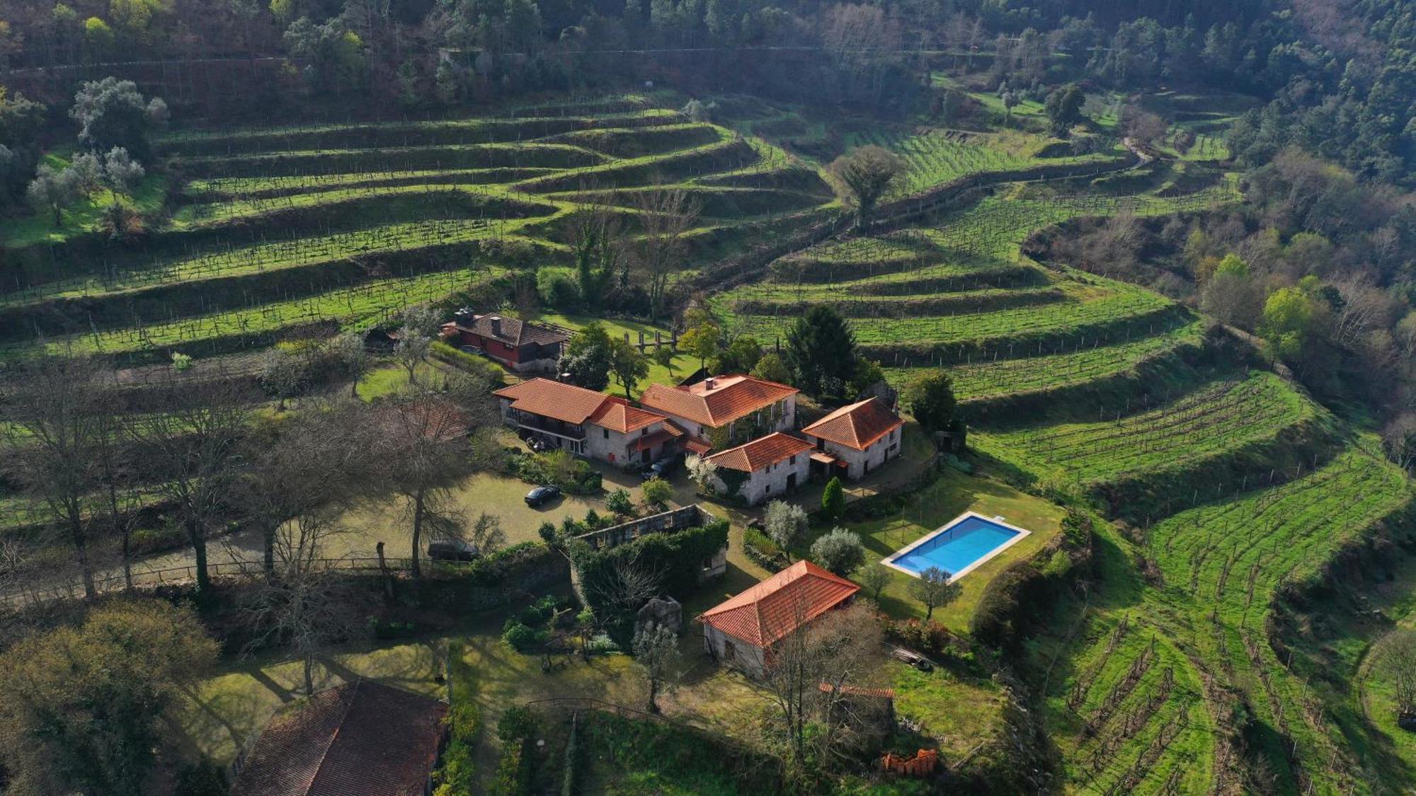 Quinta Da Pousadela - Agroturismo Amarante Exterior foto