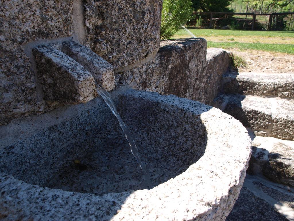 Quinta Da Pousadela - Agroturismo Amarante Exterior foto