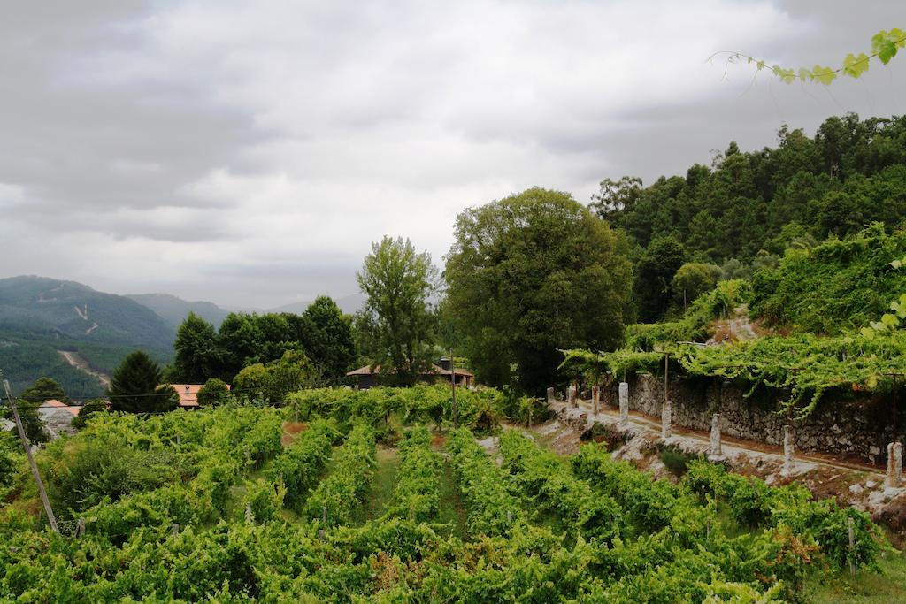 Quinta Da Pousadela - Agroturismo Amarante Exterior foto