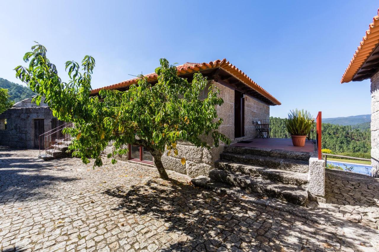 Quinta Da Pousadela - Agroturismo Amarante Exterior foto